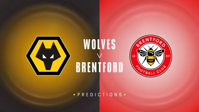 Wolves v Brentford