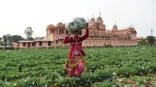 પ્રતીકાત્મક તસવીર