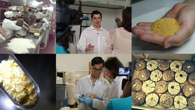 Цикл производства пудры