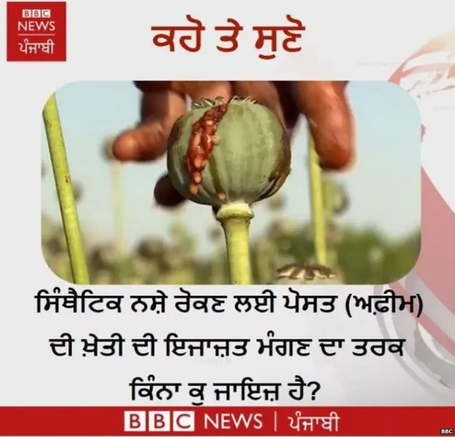 ਸਿੰਥੈਟਿਕ ਨਸ਼ਾ