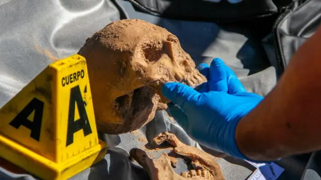 Ai, kecerdasan buatan, kriminal