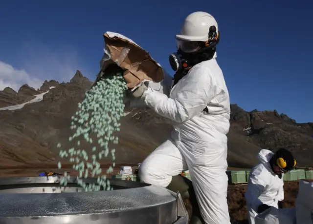 300 tan oo sunta jiirka ah ayaa la isticmaalay