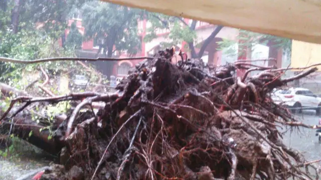 'வர்தா' புயல்