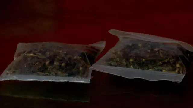 ஆபரேஷன் கஞ்சா வேட்டை