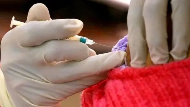 कोरोना, म्युटेशन. व्हिएतनाम