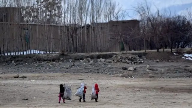 بیشتر کودکان کار خیابانی در ایران و افغانستان به پلاستیک فروشی، جمع‌آوری زباله‌ها، انتقال اموال مشتریان مشغولند