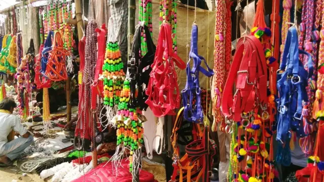 सोनपुर मेला