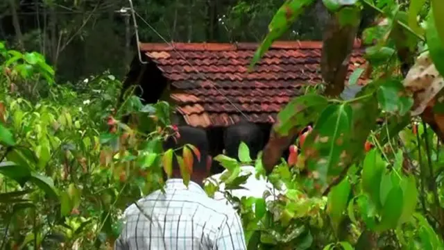 පැල්පතට විදුලිය ලබාදී ඇති අයුරු