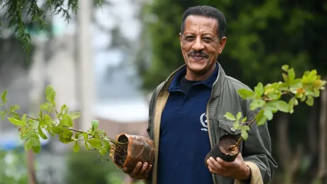 ኢትዮጵያ በሦስት ወራት ውስጥ አራት ቢልዮን ዛፍ ለመትከል መወጠኗን ይፋ ያደረገችው አምና ነበር