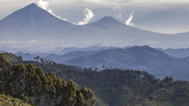 Abaturage bavuga ko abateye baturutse mu mashyamba yo mu birunga