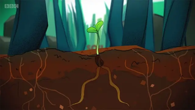 Tierra y superficie