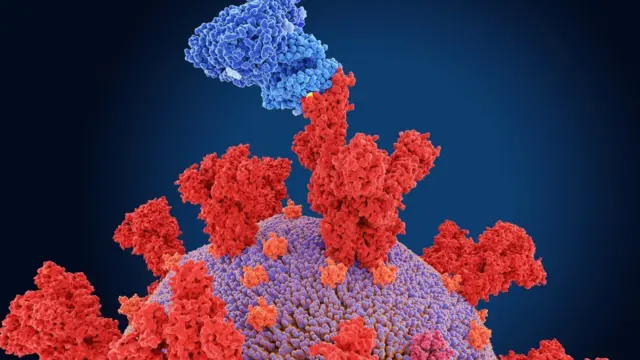 कोरोना व्हायरस