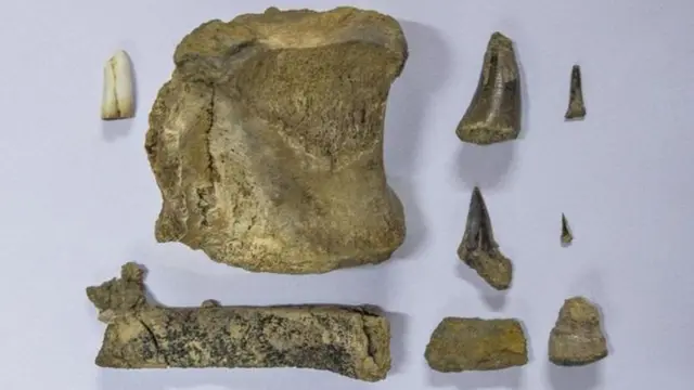 ਸਭ ਤੋਂ ਲੰਮੀ ਗੁਫਾ