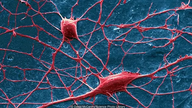 दर्द का एहसास