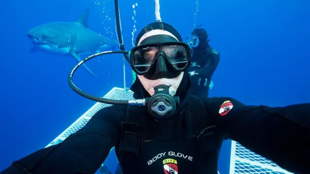 Un buzo y un tiburón