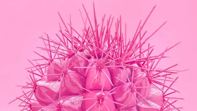 Женская боль