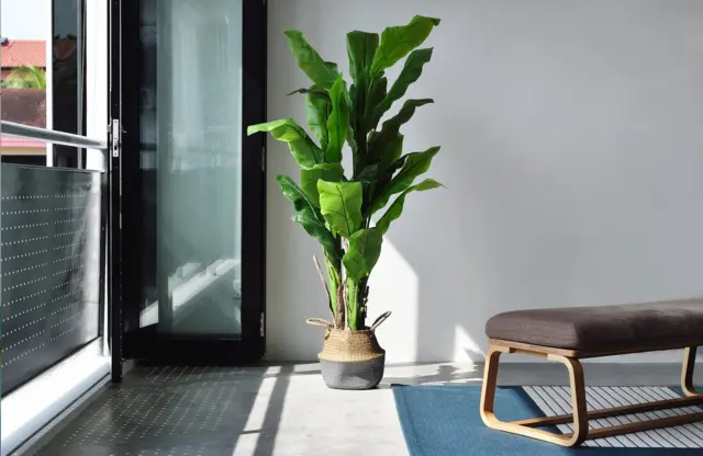 Light from a window casting shadows in a room