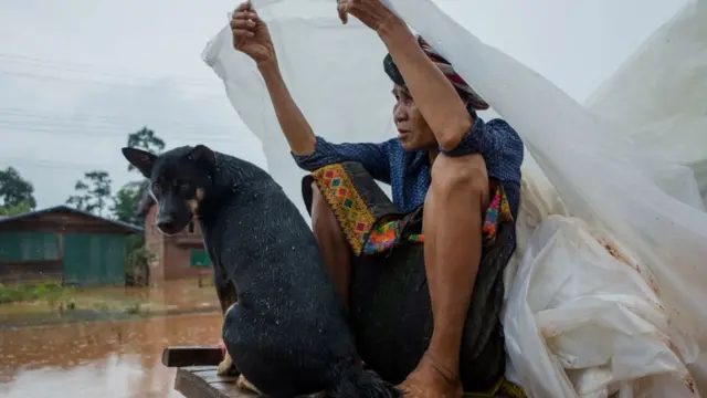 สัตว์เลี้ยงคนไร้บ้าน