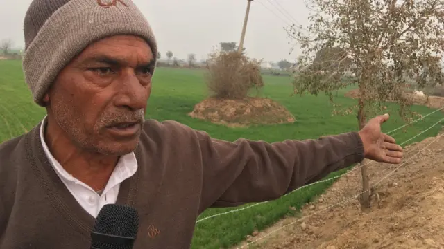 गाय से परेशान लोग