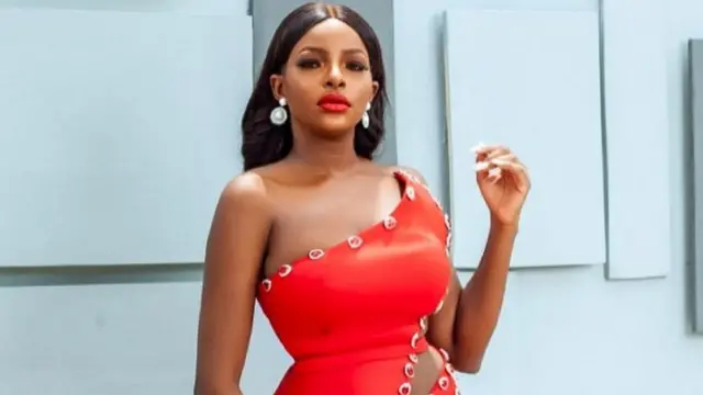 BBNaija Lockdown Reunion 2021: Highlights of Ka3na/Praise & Dorathy, Brighto, Wathoni sexual affair for 'BBNaija reunion'