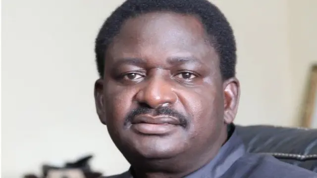 Aworan Femi Adesina