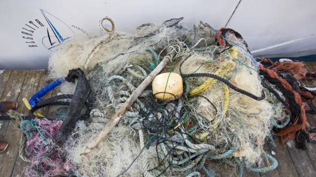 Desechos de la pesca