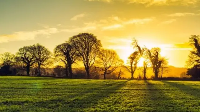 પહેલાં મરઘી કે ઈંડું?