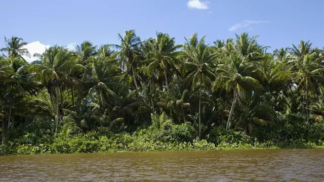 Afluentes do rio Orinoco no estado venezuelanojogo de aposta de times como funcionaDelta Amacuro