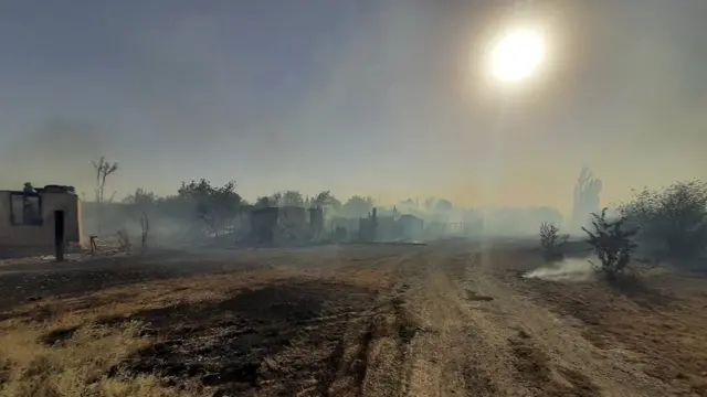 Пожар в Ростовской области, Каменский район