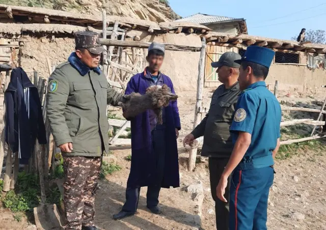 Ўлдрилган айиқ боласи