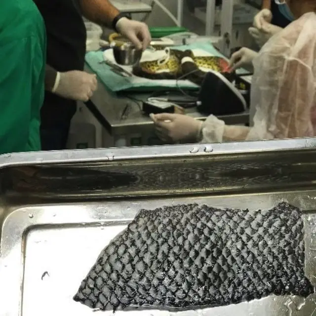 Fish skin with researchers in the background