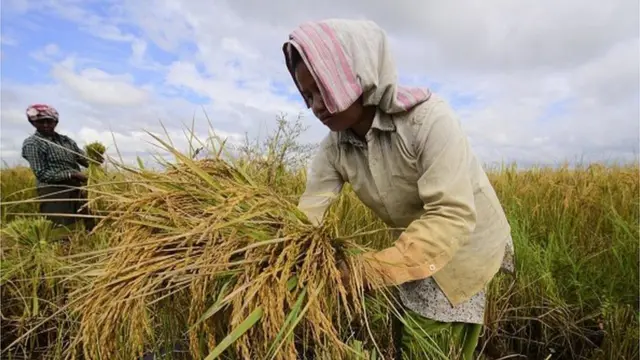 ఏప్రిల్ 20 తర్వాత వ్యవసాయ కార్యకాలపాలకు, ప్రభుత్వ మార్కెట్లు, కొనుగోళ్ల కార్యకలాపాలకు అనుమతి ఉంటుంది.