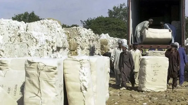 کپاس کی گانٹھیں