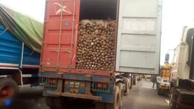"Onion traders cut supply from northern Nigeria" to southeast after Mbaise attack