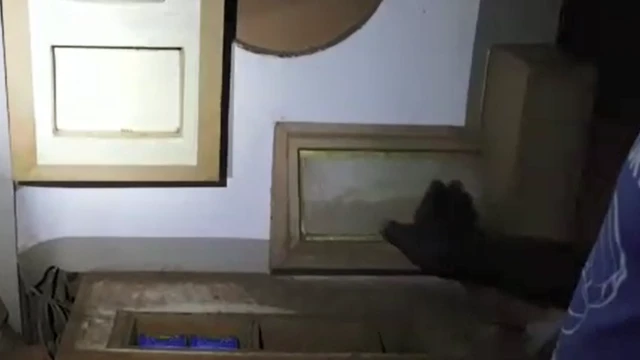 ፔፓን ዝመሃዛ መቆጻጸሪ ኩነታት ገዛኡ