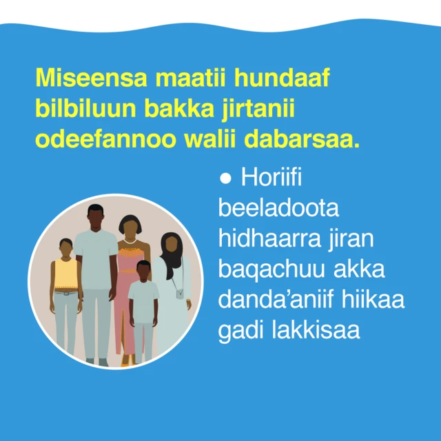 Miseensa maatii hundaaf bilbiluun bakka jirtanii odeefannoo walii dabarsaa