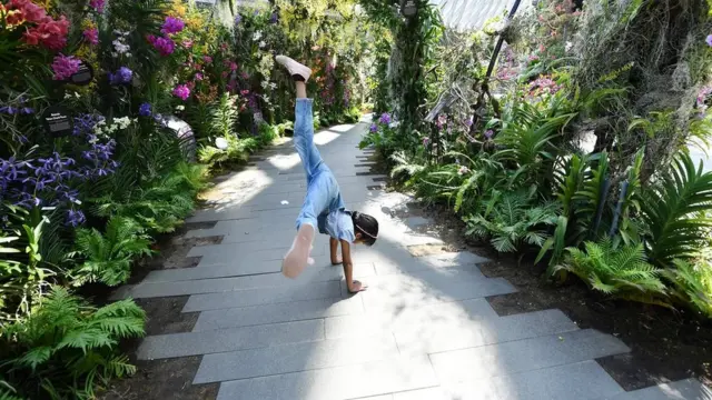 கிட்டப்பார்வை குறைபாடு