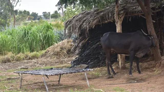 አርሶ አደሩ ራሱን ያጠፋበት ጎጆ