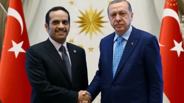 Perezida Erdogan (iburyo) yagiranye ibiganiro na Minisitiri w'ububanyi n'amahanga wa Qatar, Sheikh Mohammed bin Abdul Rahman al-Thani, mu kwezi gushize