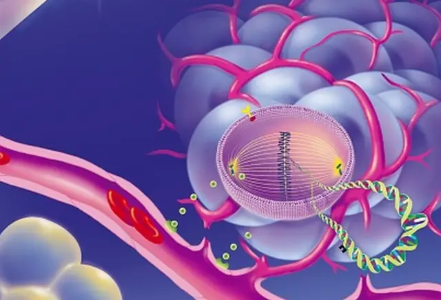 ప్రతీకాత్మక చిత్రం