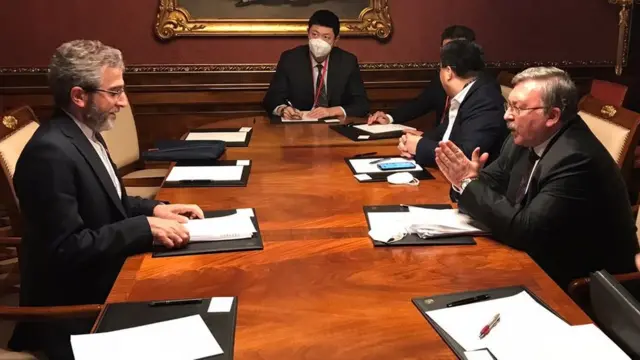 باقری‌کنی در وین