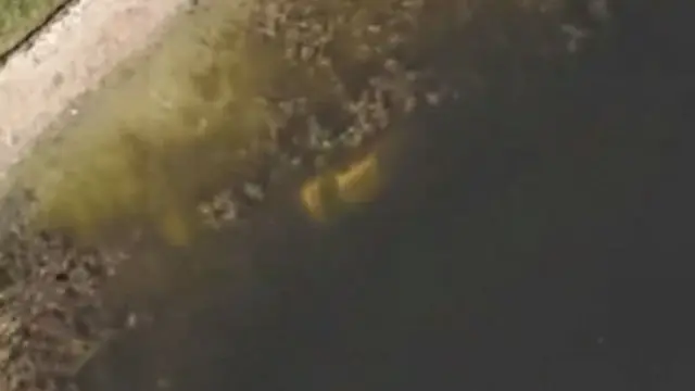 صورة البحيرة