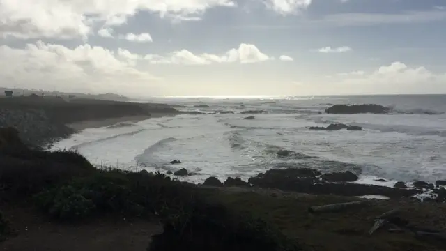 Playa de Pescadero, California
