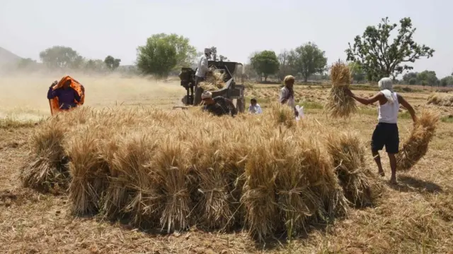 ভারত কৃষক