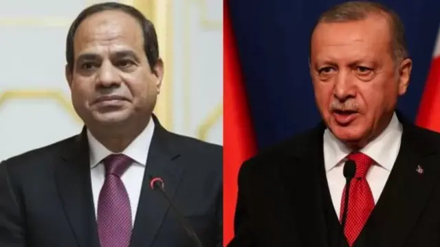 أردوغان والسيسي