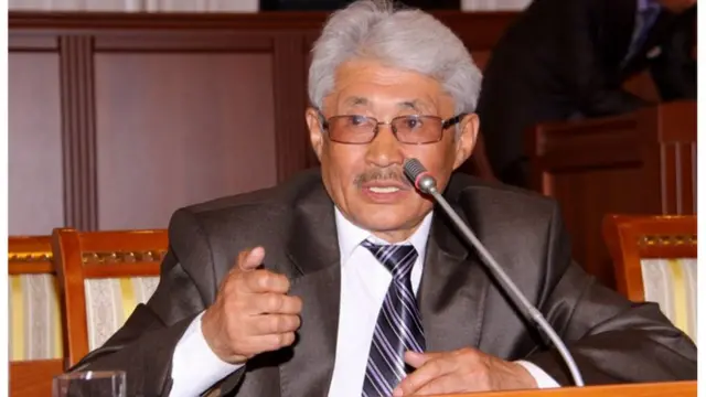 Турсунбек Акун, Конституциялык Кеңешменин өкүлү