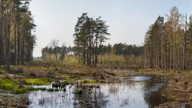 Guerre Ukraine Russie La Biélorussie Pourrait Elle Rejoindre Les Combats Aux Côtés De 0553