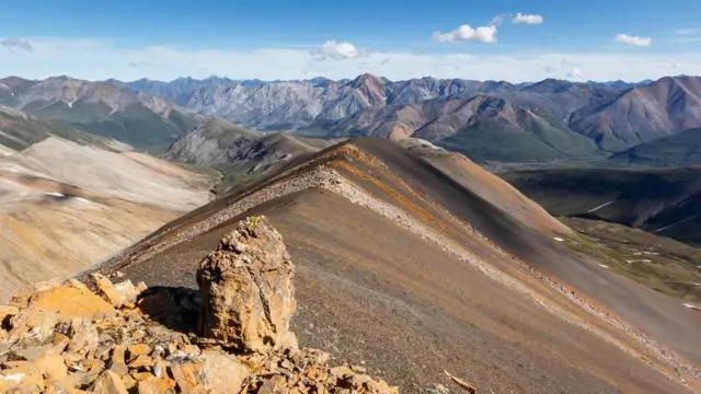 （图片来源：Vivien Cumming）