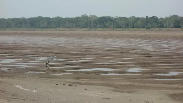 O pesquisador Andrétaxa apostas esportivasMoraes caminhando no rio seco para chegar numa comunidade ribeirinha numa ressaca do Rio Solimões durante o verão