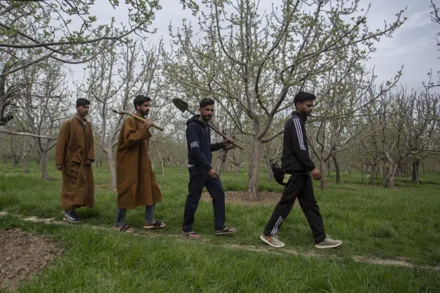 વાગે કુટુંબ અવારનવાર આસપાસના વિસ્તારોમાં ખોદકામ કરે છે